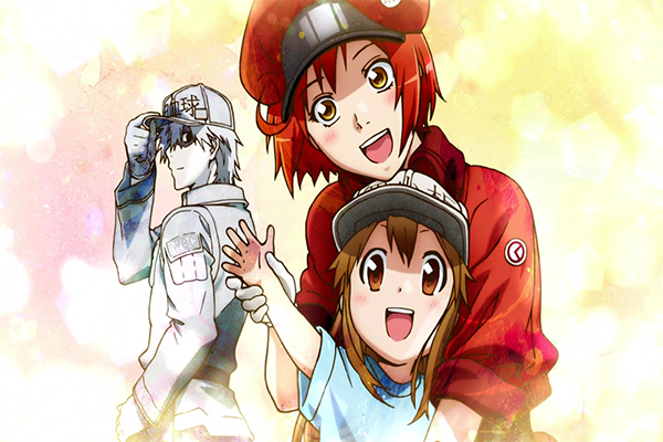 รีวิว Hataraku Saibou เซลล์ขยันพันธุ์เดือด ดูเพลิน สนุกมาก อนิเมะไทย ฉากนี้โคตรดี ANIMEไทย HatarakuSaibou