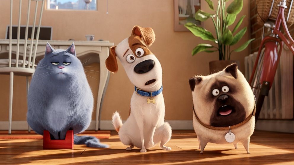 รีวิวภาพยนตร์อนิเมชั่นเรื่อง The Secret Life of Pets (2016) เรื่องลับแก๊งขนฟู อนิเมะไทย ฉากนี้โคตรดี ANIMEไทย TheSecretLifeofPets